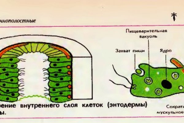 Ссылка на omg